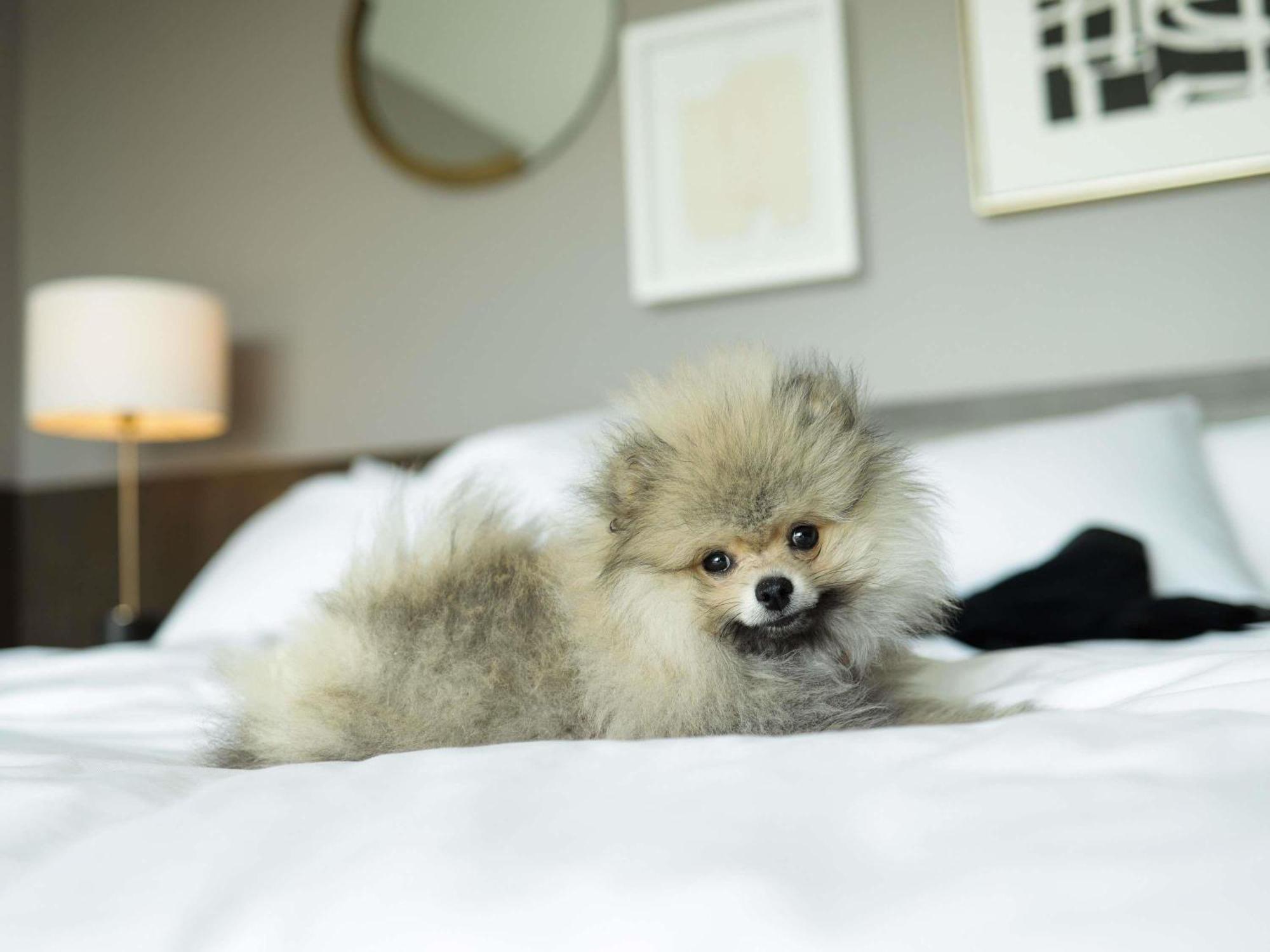 Fairmont Century Plaza Los Angeles Zewnętrze zdjęcie